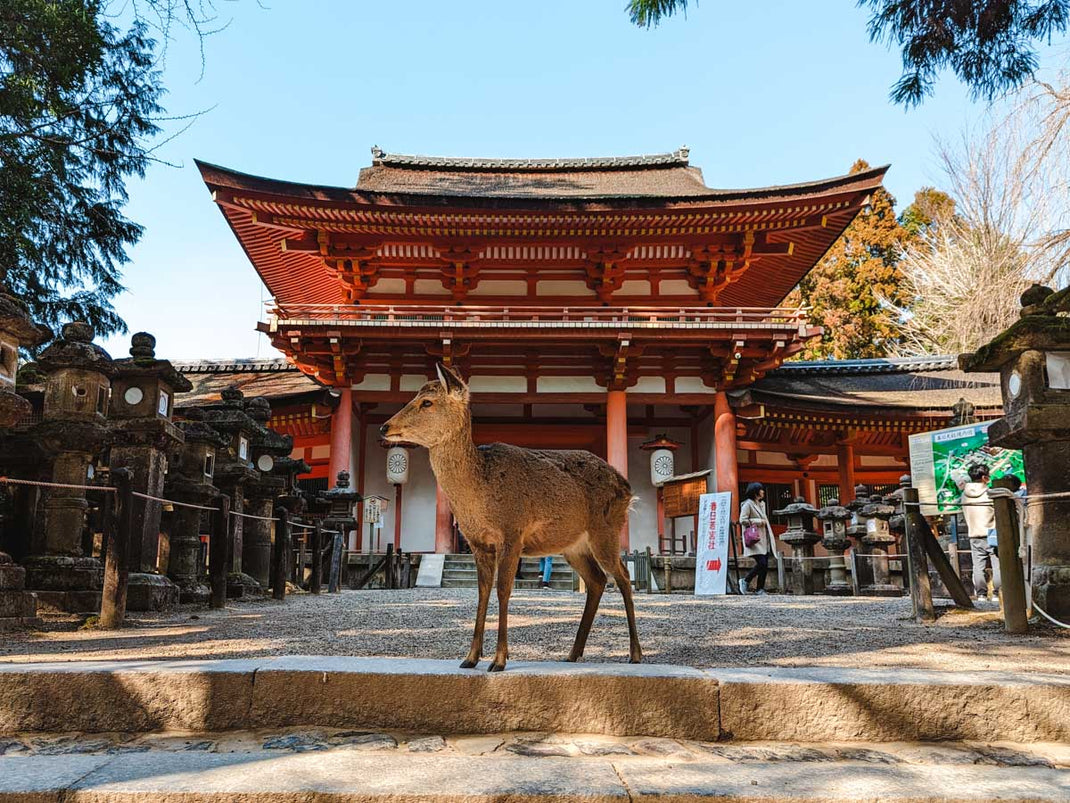 Nara Destination List – Sakura Concierge